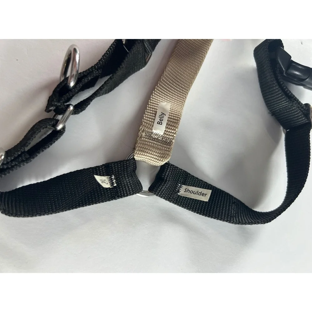 PetSafe this used